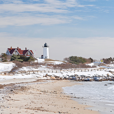 Cape Cod Photo